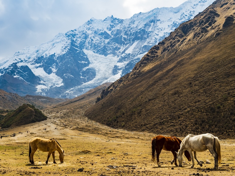 Tips for a Memorable Humantay Lake Tour